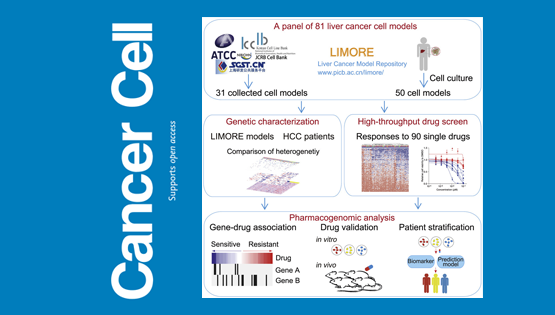 李亦學(xué)研究組合作繪制肝癌藥物基因組學(xué)的“藍圖”