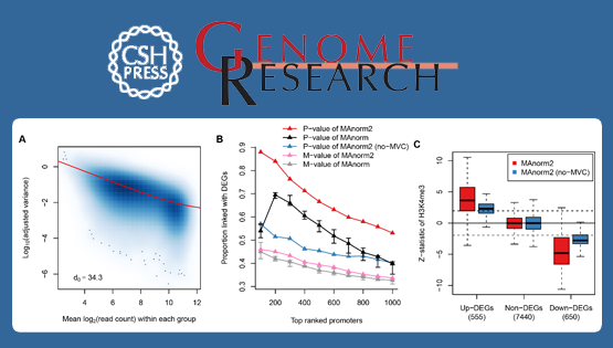 邵振研究組建立用于多樣本ChIP-seq數據分組定量比較的MAnorm2計算模型