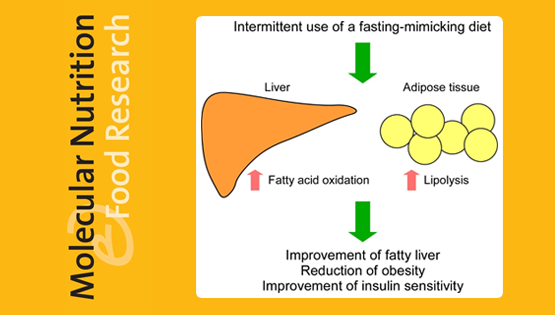 營(yíng)養與健康所陳雁研究組發(fā)現間歇性節食可以改善脂肪肝